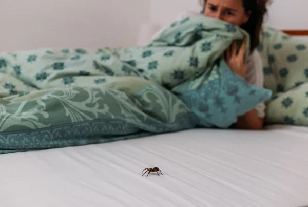 chica asustada por araña en la cama
